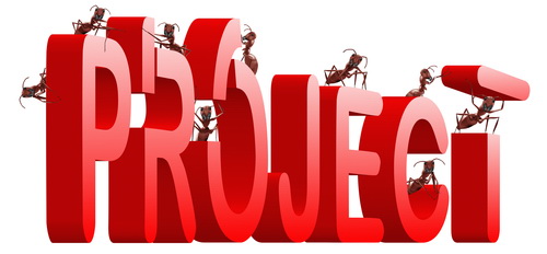 Project Management – Mentoring Existing Skills & Broadening Knowledge
